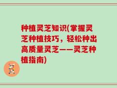种植灵芝知识(掌握灵芝种植技巧，轻松种出高质量灵芝——灵芝种植指南)