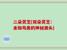 二朵灵芝(双朵灵芝：未知鸟类的神秘源头)