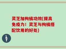 灵芝加枸橘功效(提高免疫力！灵芝与枸橘搭配饮用的好处)