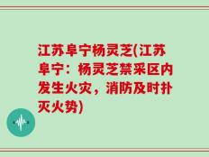 江苏阜宁杨灵芝(江苏阜宁：杨灵芝禁采区内发生火灾，消防及时扑灭火势)