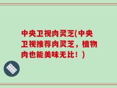 中央卫视肉灵芝(中央卫视推荐肉灵芝，植物肉也能美味无比！)
