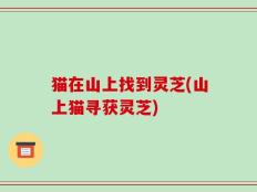 猫在山上找到灵芝(山上猫寻获灵芝)