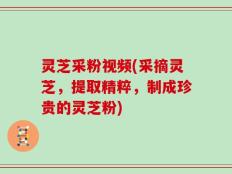 灵芝采粉视频(采摘灵芝，提取精粹，制成珍贵的灵芝粉)