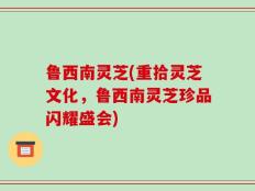 鲁西南灵芝(重拾灵芝文化，鲁西南灵芝珍品闪耀盛会)