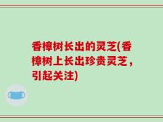 香樟树长出的灵芝(香樟树上长出珍贵灵芝，引起关注)