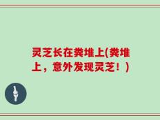 灵芝长在粪堆上(粪堆上，意外发现灵芝！)