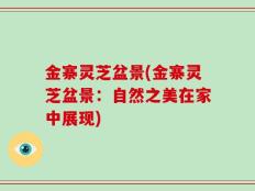 金寨灵芝盆景(金寨灵芝盆景：自然之美在家中展现)