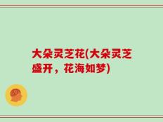 大朵灵芝花(大朵灵芝盛开，花海如梦)