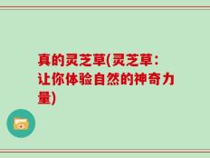 真的灵芝草(灵芝草：让你体验自然的神奇力量)