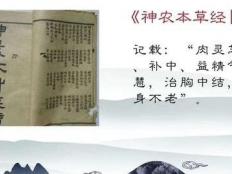 灵芝孢子粉对人身体的好处出人意料
