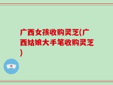 广西女孩收购灵芝(广西姑娘大手笔收购灵芝)