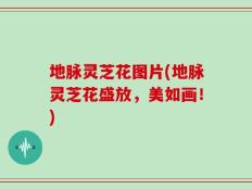 地脉灵芝花图片(地脉灵芝花盛放，美如画！)