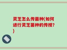 灵芝怎么传菌种(如何进行灵芝菌种的传授？)