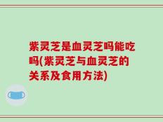 紫灵芝是血灵芝吗能吃吗(紫灵芝与血灵芝的关系及食用方法)