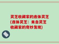 灵芝收藏家的连体灵芝(连体灵芝：来自灵芝收藏家的奇妙发现)