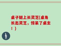 桌子腿上长灵芝(桌角长出灵芝，惊呆了桌主！)