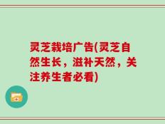 灵芝栽培广告(灵芝自然生长，滋补天然，关注养生者必看)
