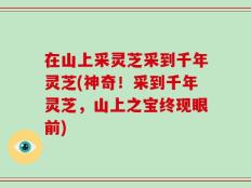 在山上采灵芝采到千年灵芝(神奇！采到千年灵芝，山上之宝终现眼前)