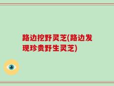 路边挖野灵芝(路边发现珍贵野生灵芝)