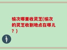 榆次哪里收灵芝(榆次的灵芝收割地点在哪儿？)