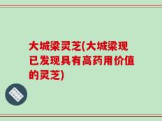 大城梁灵芝(大城梁现已发现具有高药用价值的灵芝)