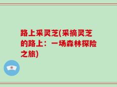 路上采灵芝(采摘灵芝的路上：一场森林探险之旅)