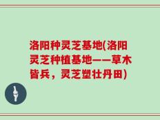 洛阳种灵芝基地(洛阳灵芝种植基地——草木皆兵，灵芝塑壮丹田)