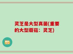 灵芝是大型真菌(重要的大型蘑菇：灵芝)