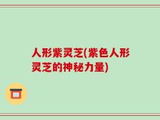 人形紫灵芝(紫色人形灵芝的神秘力量)