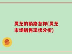 灵芝的销路怎样(灵芝市场销售现状分析)