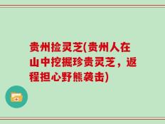 贵州捡灵芝(贵州人在山中挖掘珍贵灵芝，返程担心野熊袭击)