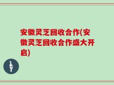 安徽灵芝回收合作(安徽灵芝回收合作盛大开启)