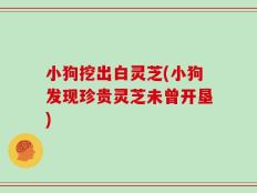 小狗挖出白灵芝(小狗发现珍贵灵芝未曾开垦)