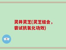 灵井灵芝(灵芝组合，尝试抗氧化功效)