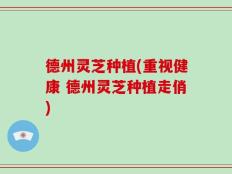 德州灵芝种植(重视健康 德州灵芝种植走俏)