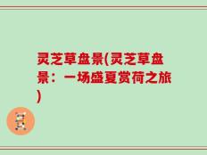 灵芝草盘景(灵芝草盘景：一场盛夏赏荷之旅)