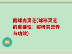 圆球肉灵芝(球形灵芝的重要性：解析其营养与功效)