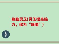 蜂脑灵芝(灵芝提高脑力，称为“蜂脑”)