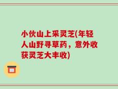 小伙山上采灵芝(年轻人山野寻草药，意外收获灵芝大丰收)