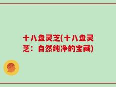 十八盘灵芝(十八盘灵芝：自然纯净的宝藏)
