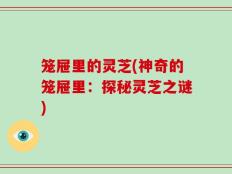 笼屉里的灵芝(神奇的笼屉里：探秘灵芝之谜)