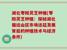 湖北枣阳灵芝种植(枣阳灵芝种植：探秘湖北偏远山区市场迅猛发展背后的种植技术与经济条件)