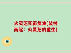 火灵芝死而复生(焚林而起：火灵芝的重生)