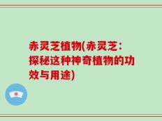 赤灵芝植物(赤灵芝：探秘这种神奇植物的功效与用途)