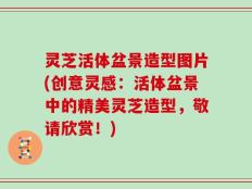 灵芝活体盆景造型图片(创意灵感：活体盆景中的精美灵芝造型，敬请欣赏！)