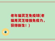 老年猫灵芝免疫球(老猫用灵芝增强免疫力，获得新生！)