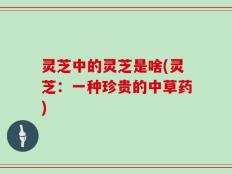 灵芝中的灵芝是啥(灵芝：一种珍贵的中草药)