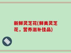 新鲜灵芝花(鲜美灵芝花，营养滋补佳品)