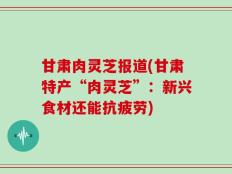 甘肃肉灵芝报道(甘肃特产“肉灵芝”：新兴食材还能抗疲劳)
