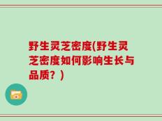 野生灵芝密度(野生灵芝密度如何影响生长与品质？)